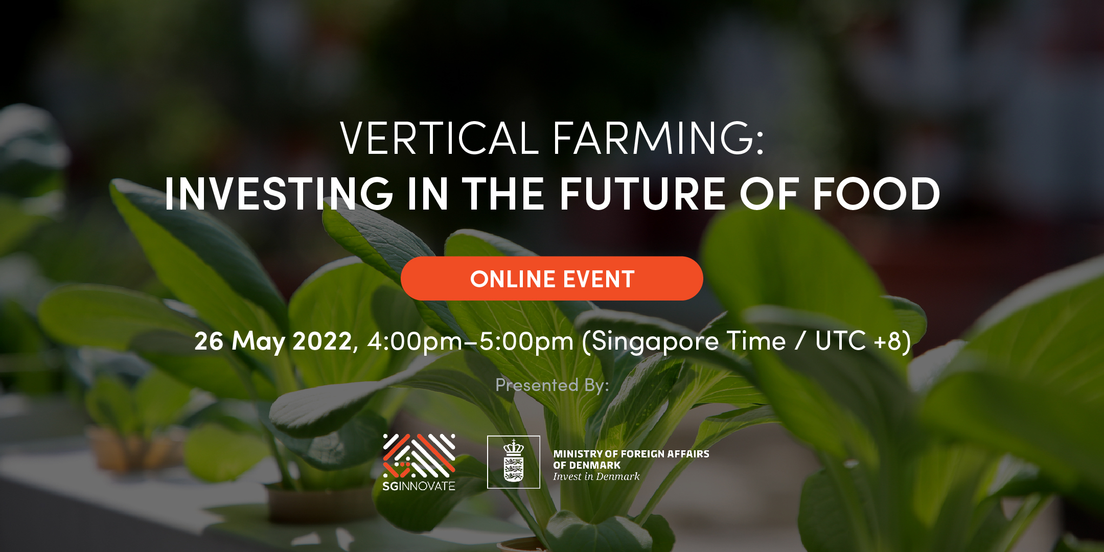Vertical Farming: Investing in the Future of Food